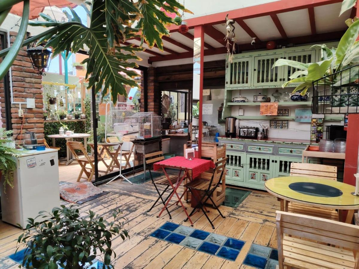 Hostal México Airport CDMX - Hizvo