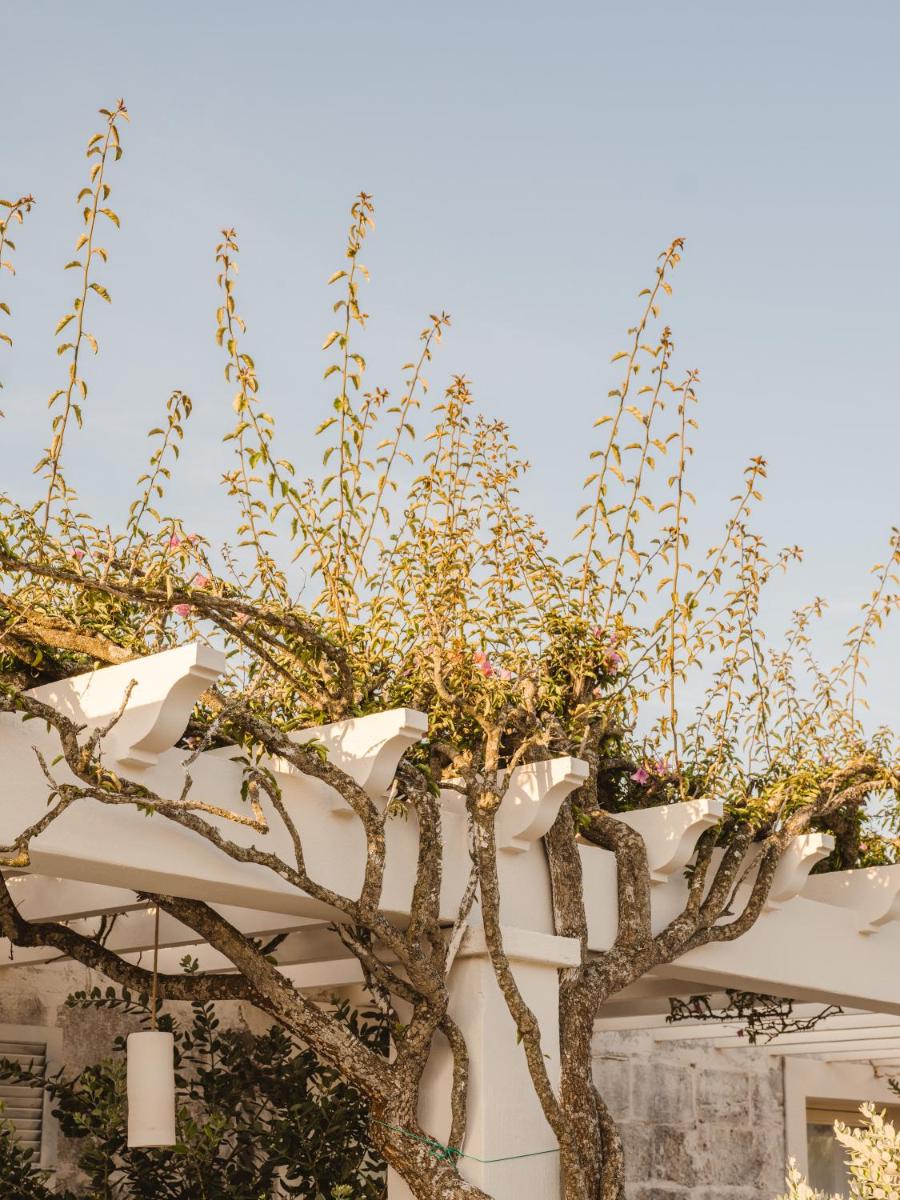 Imagen de la galería de Morvedra Nou Luxury Boutique Hotel - Adults Only, en Ciutadella