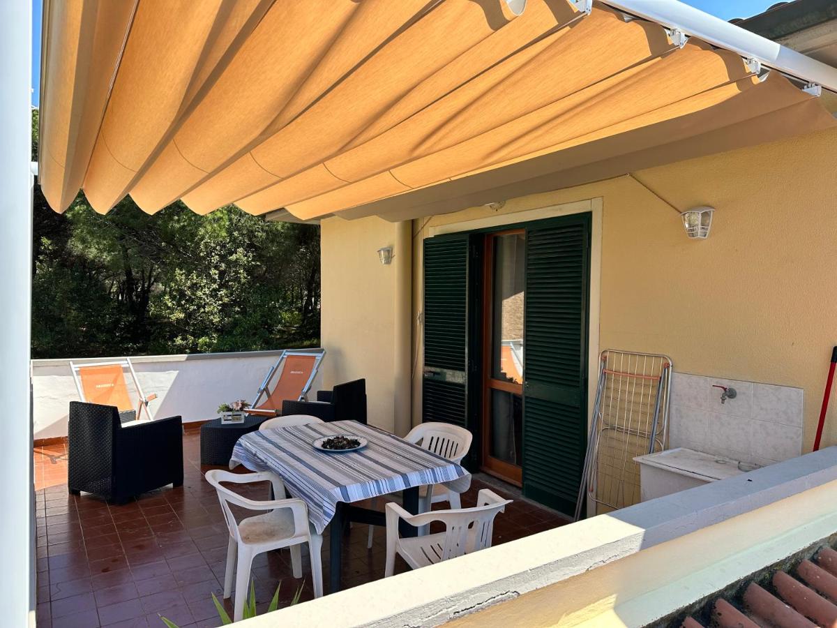 Appartamenti vacanze Aragosta - Housity