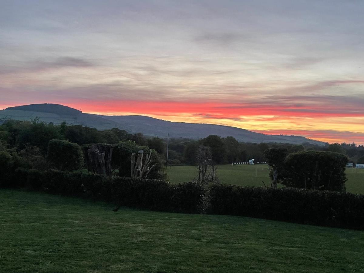 Mon Petit Cottage - B&B and House in Bunclody - Housity