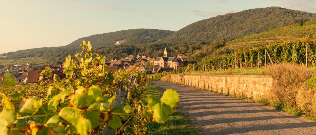 Vue générale sur la montagne ou vue sur la montagne depuis l'hôtel