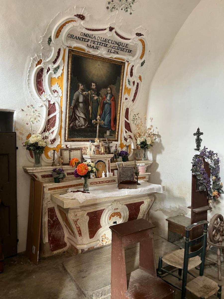 Casa Rosa - Housity