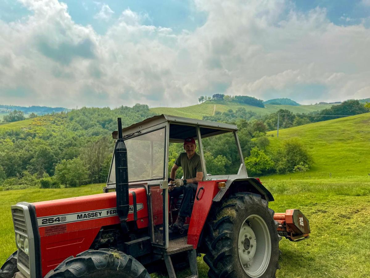 Agriturismo Antica Torre - Housity