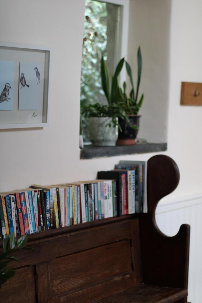 Pretty sunny cottage, Machynlleth - Housity