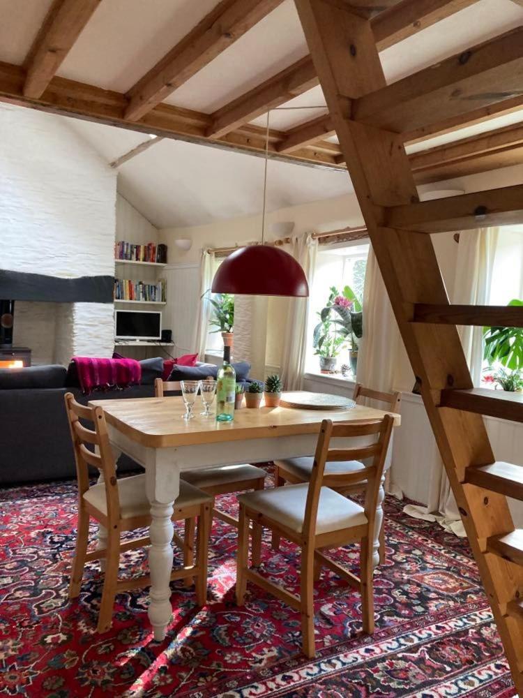 Pretty sunny cottage, Machynlleth - Housity