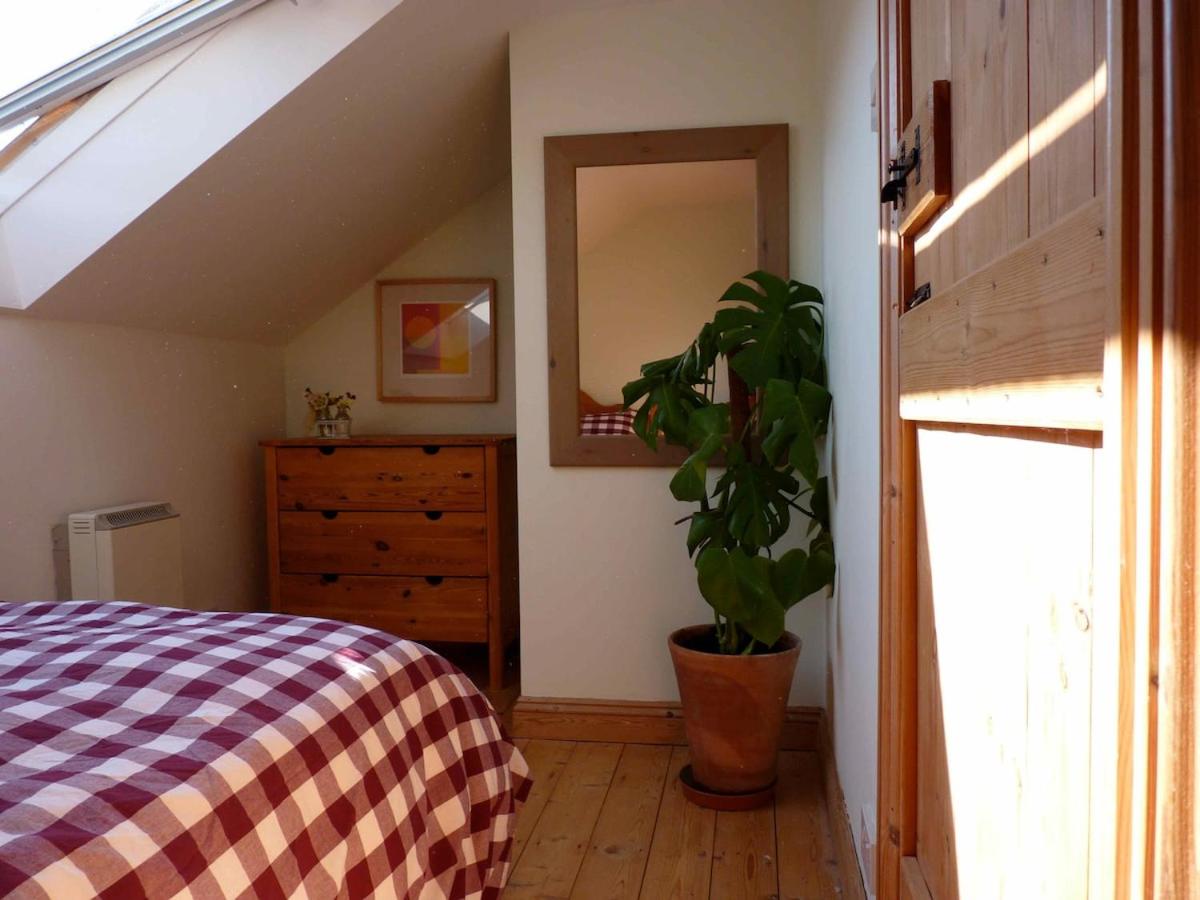 Pretty sunny cottage, Machynlleth - Housity
