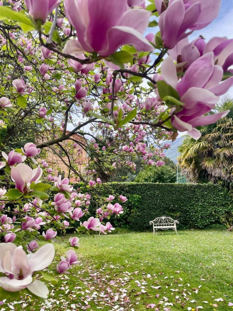 La Limonaia - Tremezzo by LoveComo - Housity