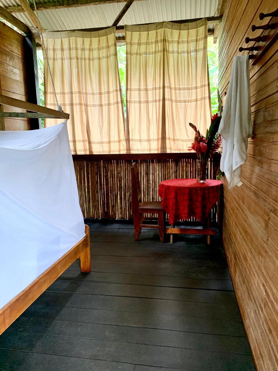 Amazonian Oropendola & tambopata - Housity