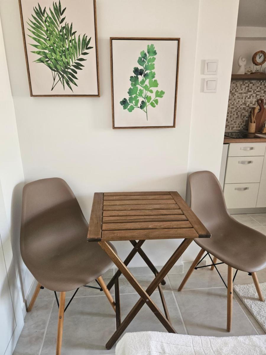 Apartment Srdanovic - Hizvo