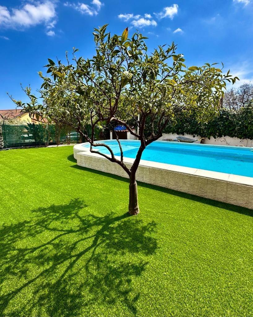 Etna Shelter Holiday House - Housity