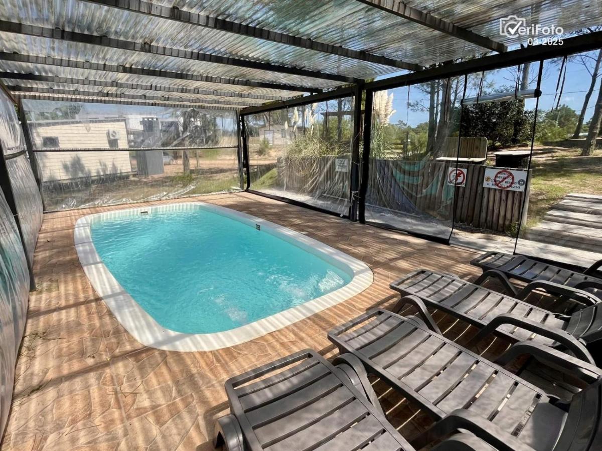 Chimuelo, es necesario hacer sena para reservar - Housity