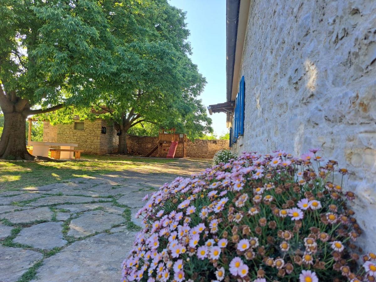 Kuća dida Jure - Housity
