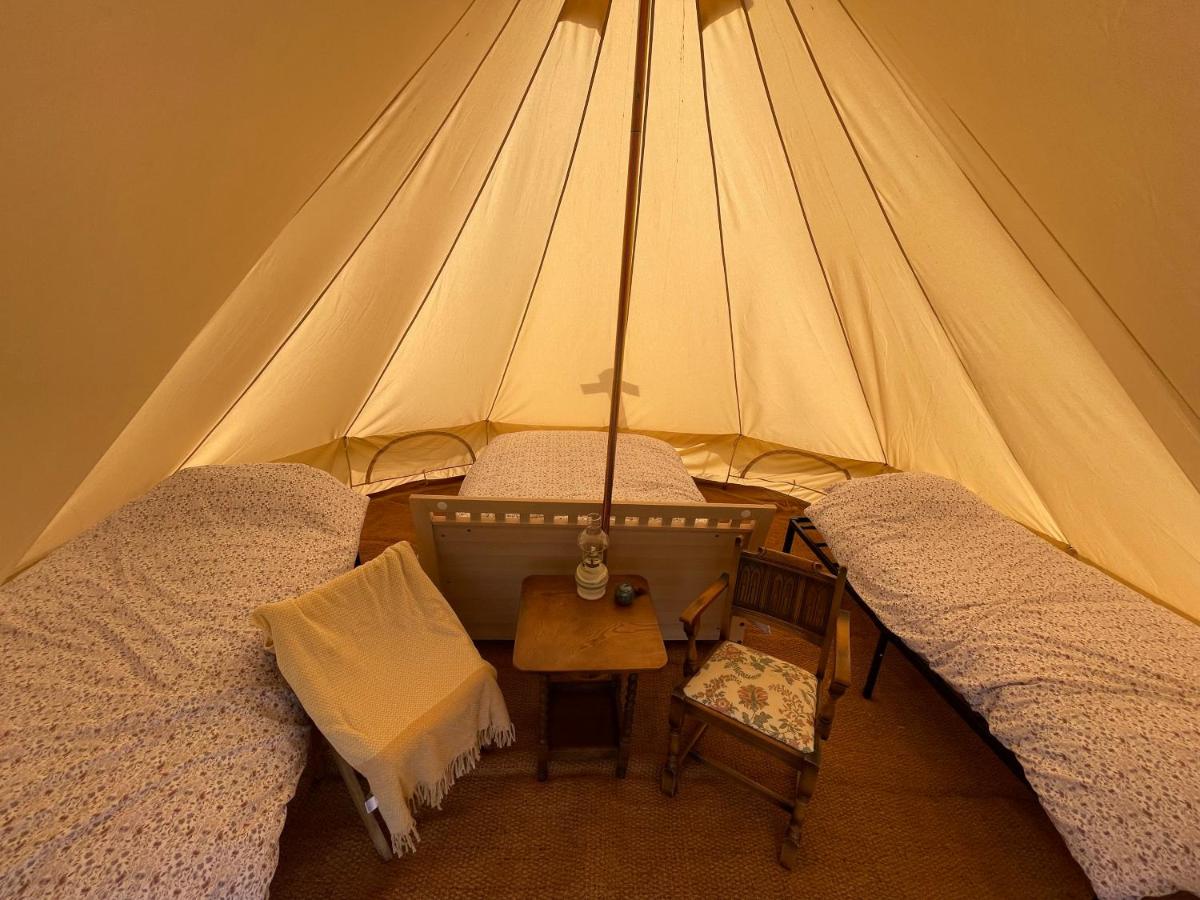 Witham Grange Glamping - Housity