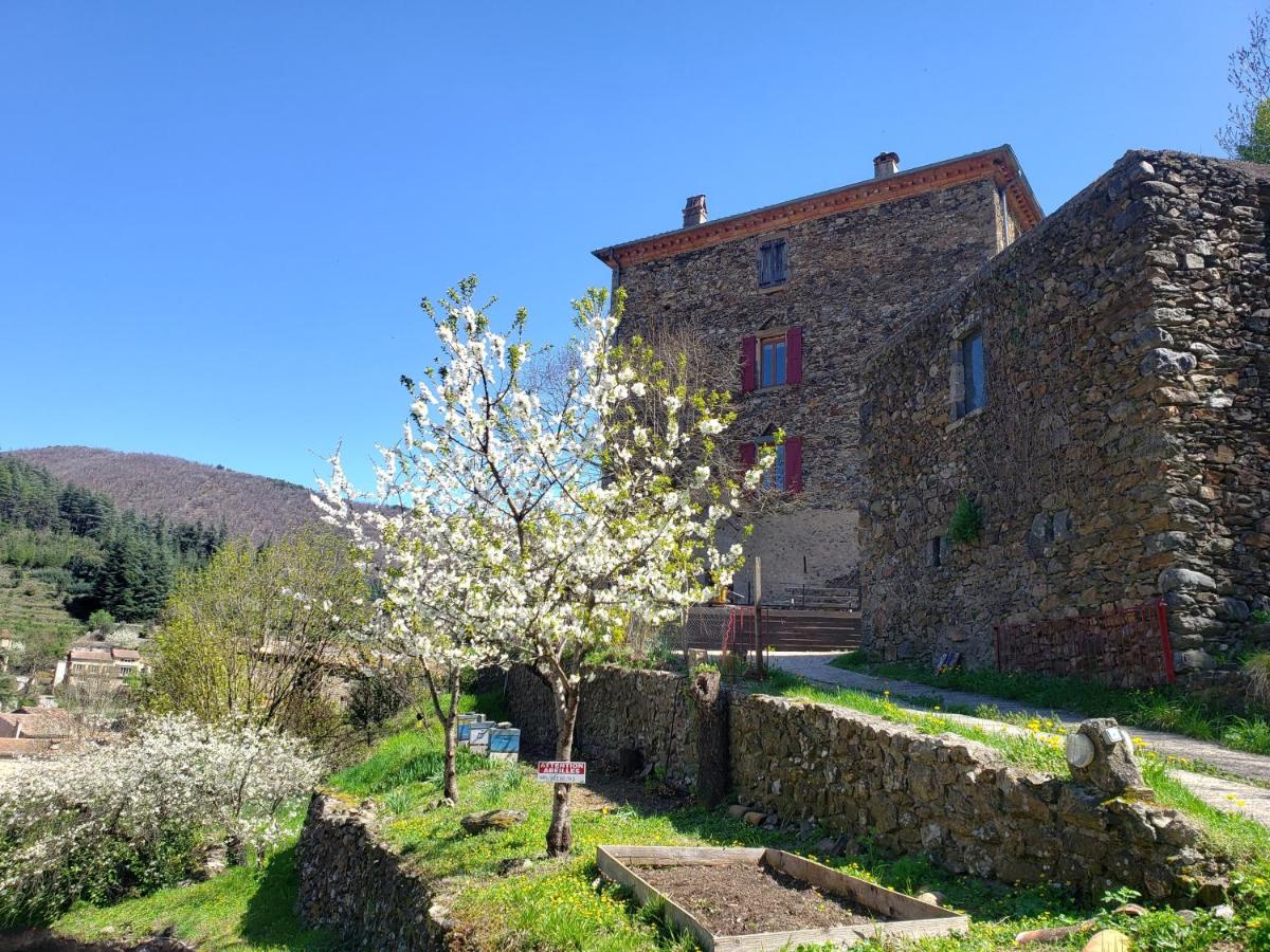 Le Cagnel - Housity