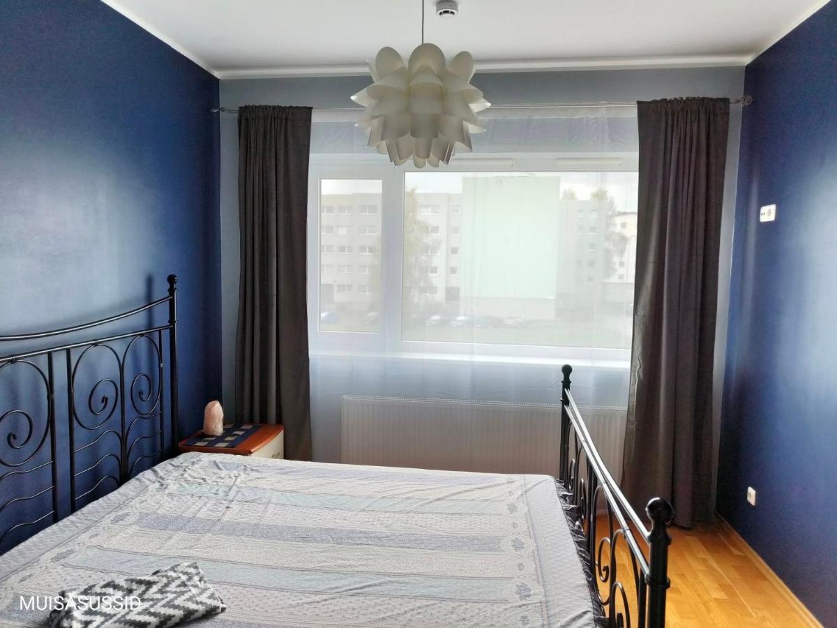 Chelsea Papiniidu 64 Apartment - Housity