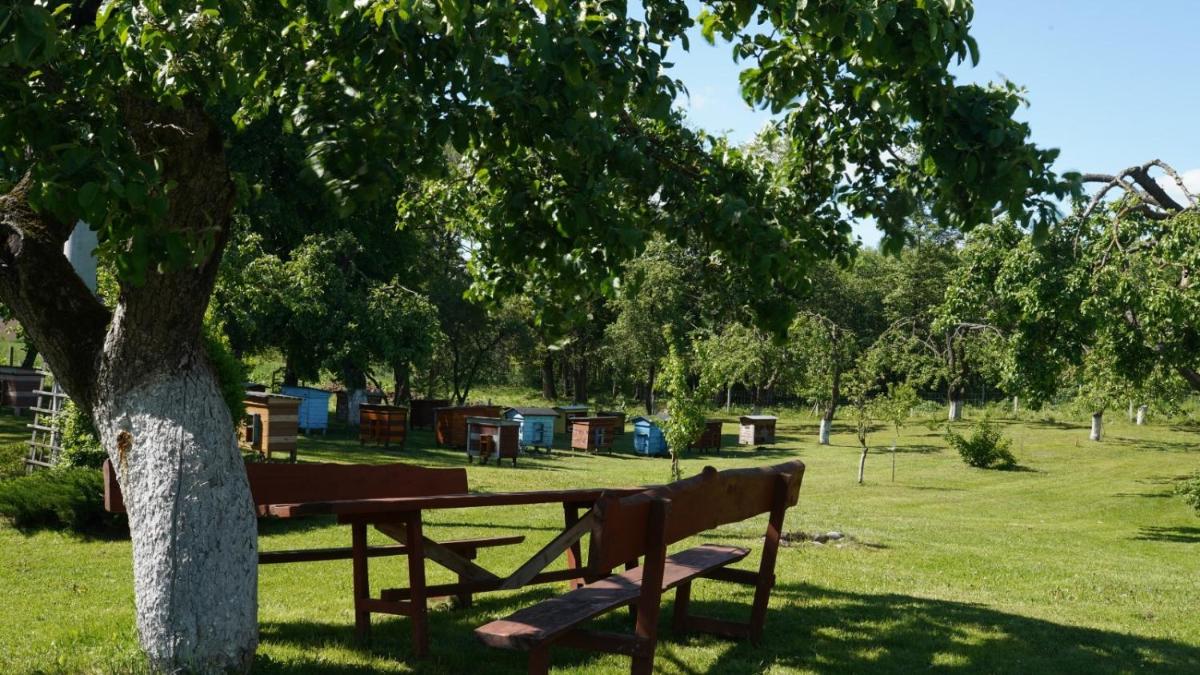 Agroturystyka nad jeziorem Gaładuś - Housity
