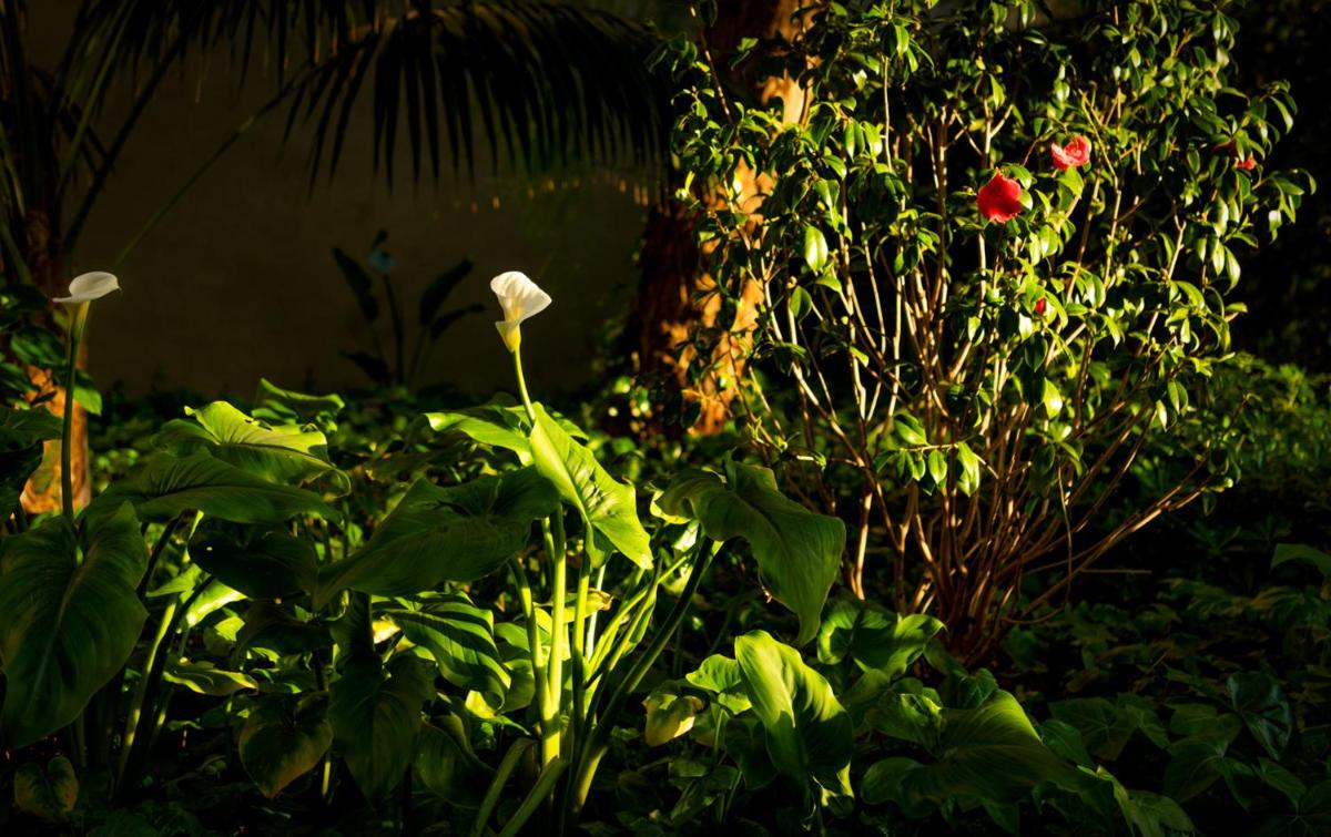 Jardín al aire libre en AQUA Hotel The Breeze & Spa - All Inclusive - Adults Only - 4Sup
