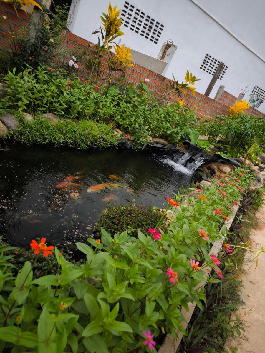 Vang Vieng Champa Hotel - Housity