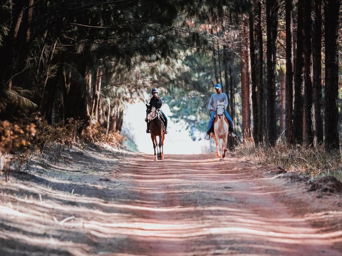 Silver Mist Resort, Haenertsburg - Housity