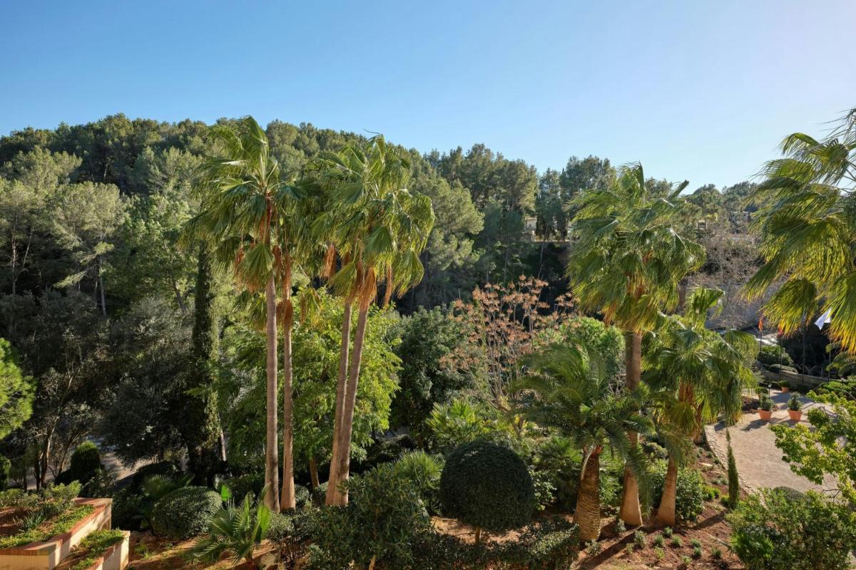 Paisaje cerca de este hotel