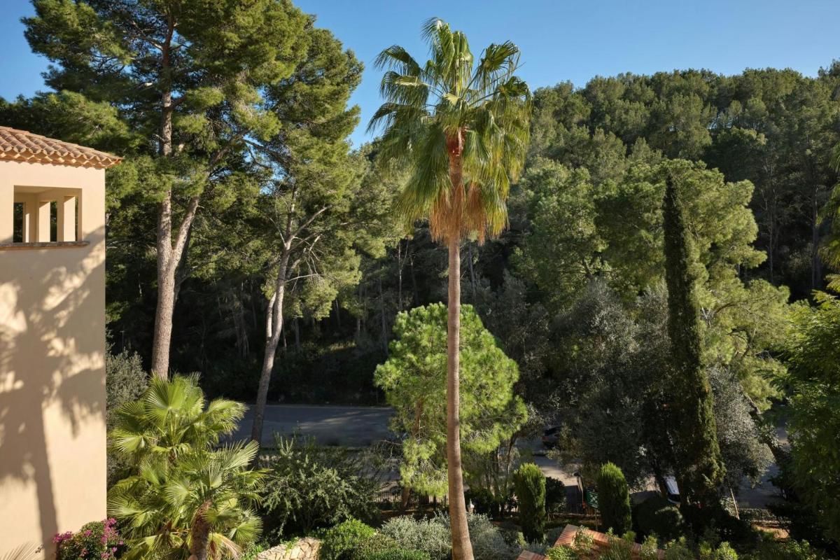 Paisaje cerca de este hotel