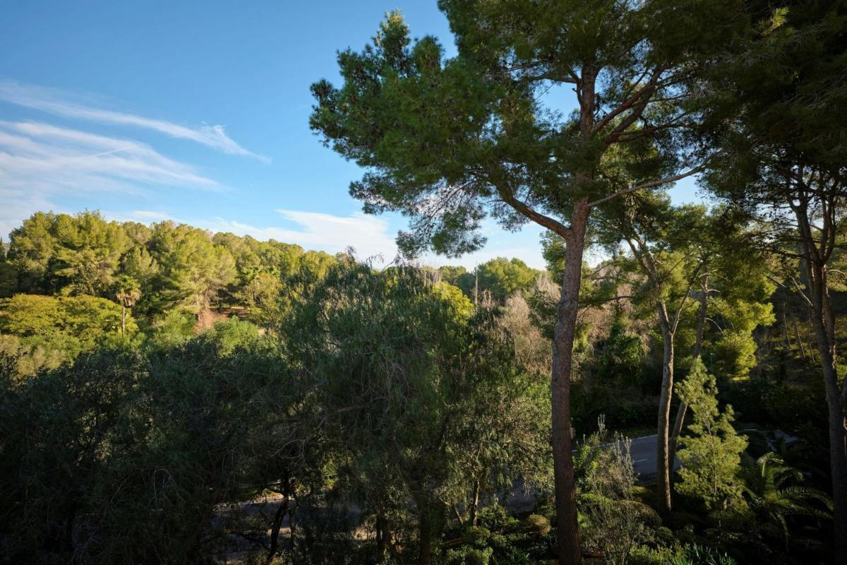 Paisaje cerca de este hotel