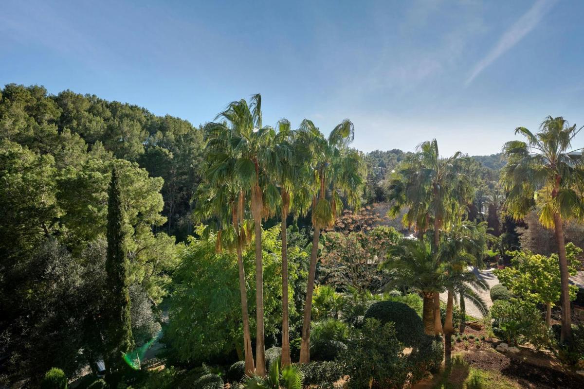 Paisaje cerca de este hotel