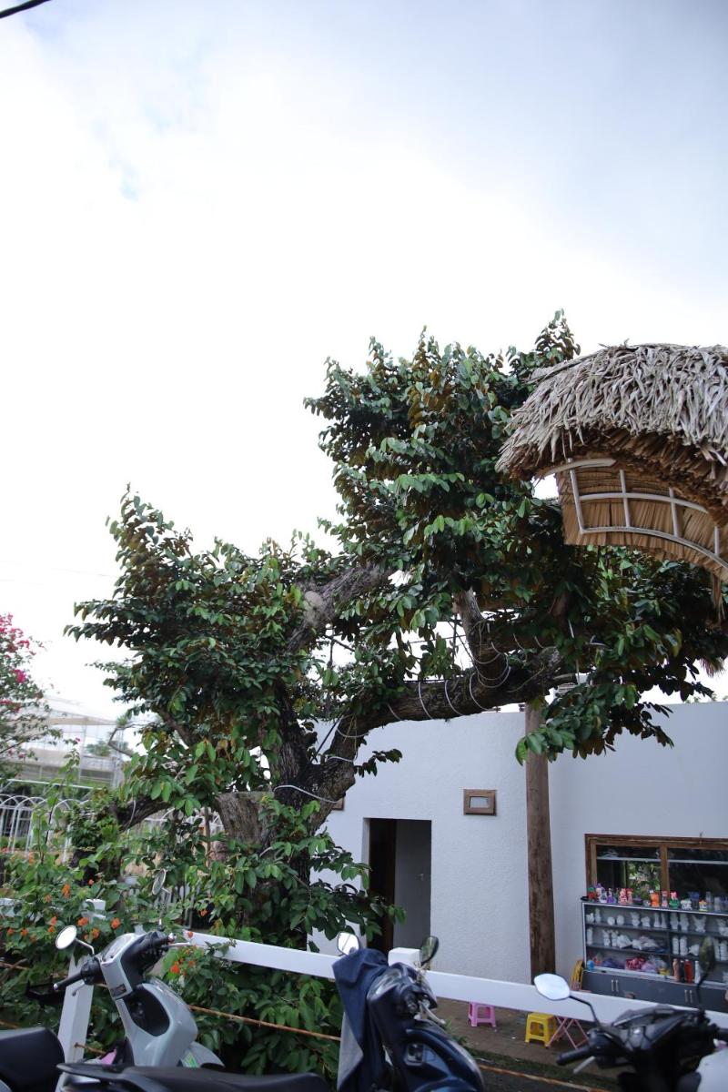 Upes Garden Homestay Bien Ho - Housity