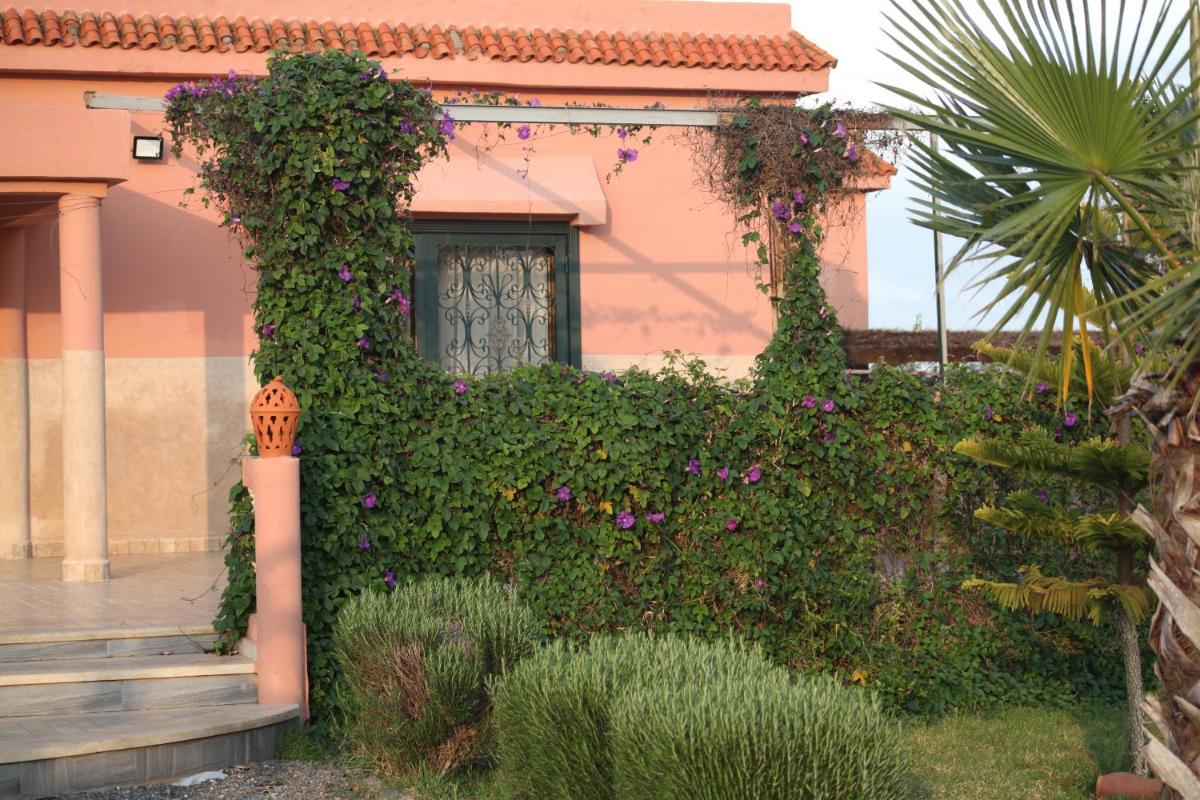 Bougainvilla Guesthouse - Housity