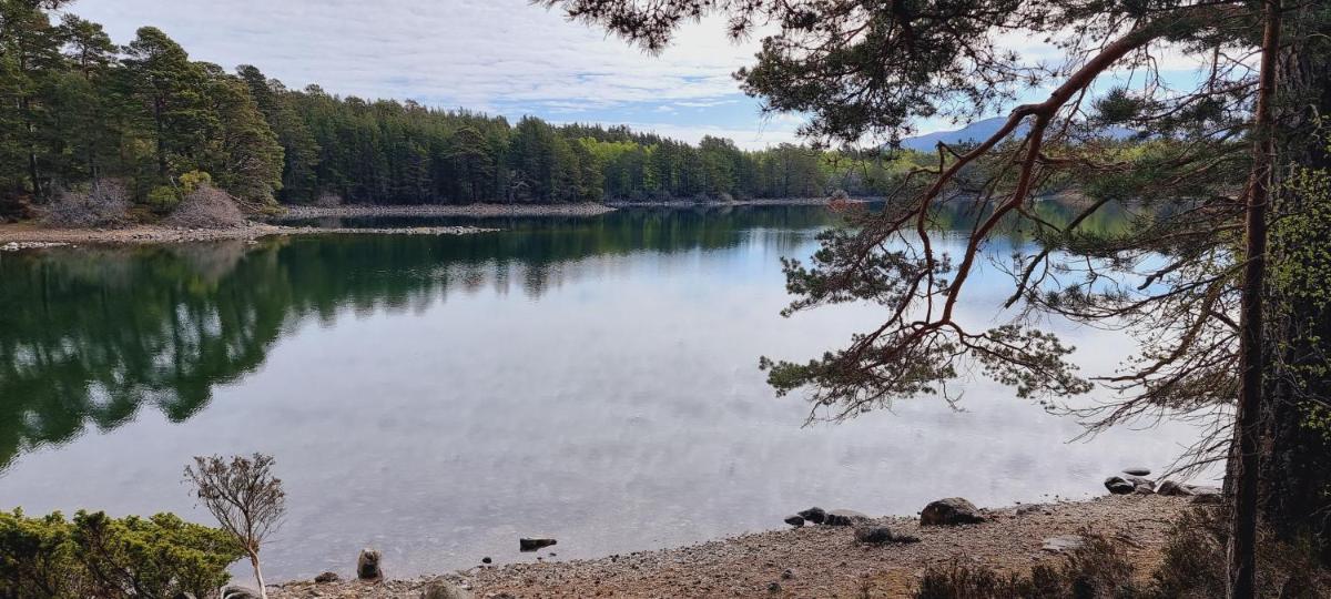The Shelter Stone Cottage - Housity