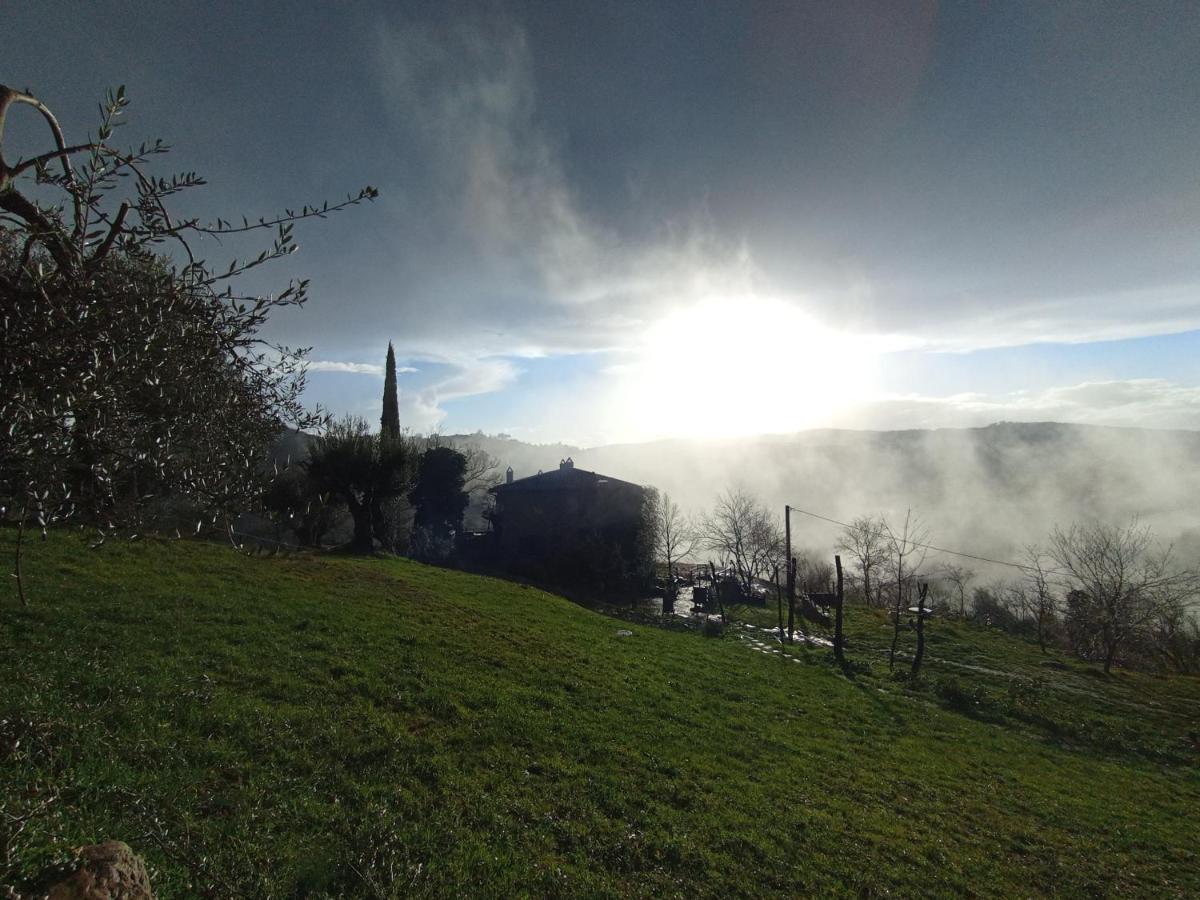 Agriturismo Il Poggio degli Scoiattoli - Housity