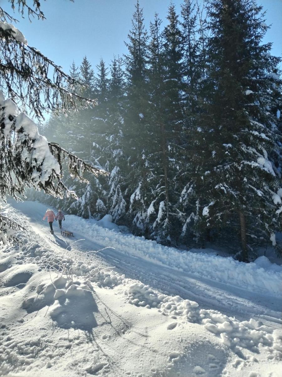 Apartman Teodora Uvac - Housity