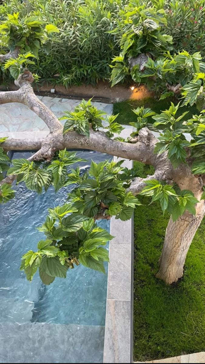 Piscine de l'établissement Hotel Minera ou située à proximité