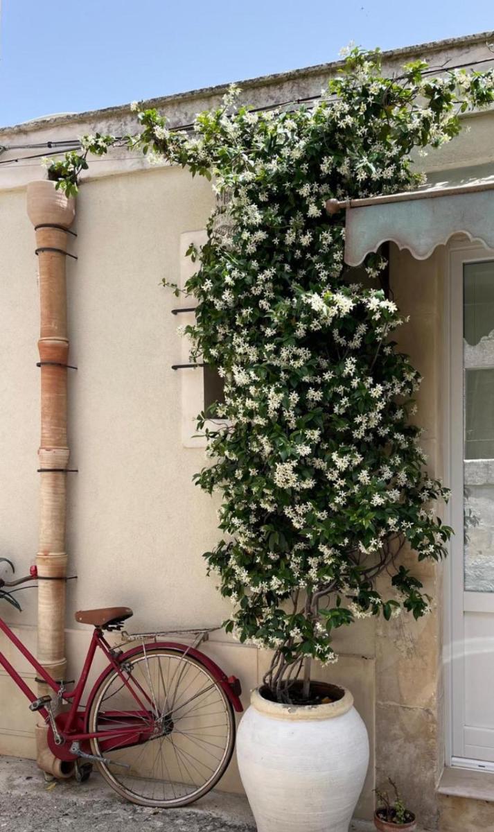 La Casa dell\'Artista - Affitti Brevi - Ferla - Housity