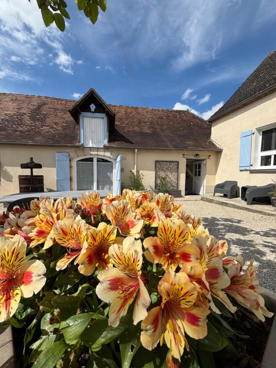 La Borie - Housity
