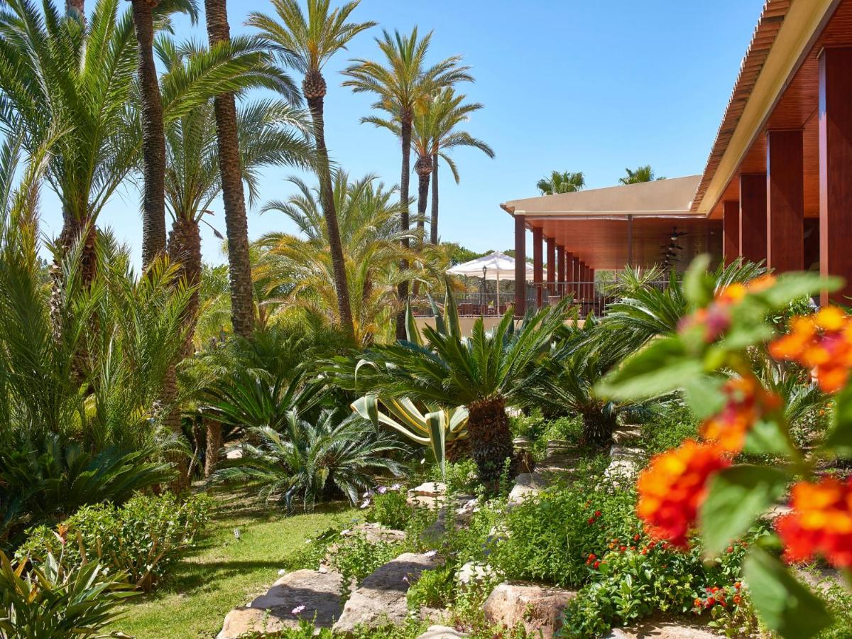 Um jardim no exterior de Ria Park Hotel & Spa