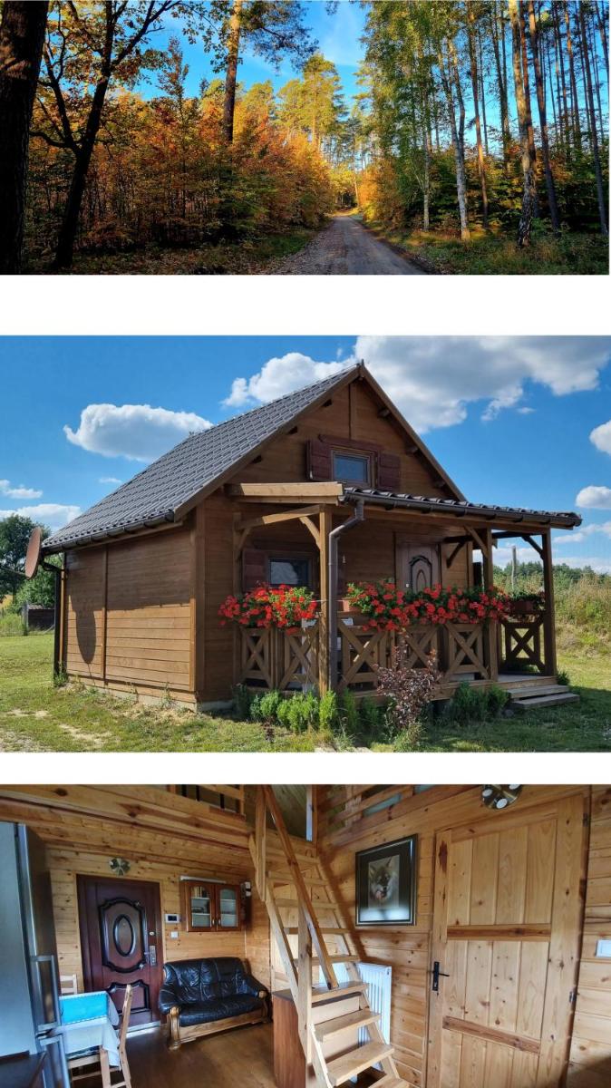 Domek Triftberg - Housity