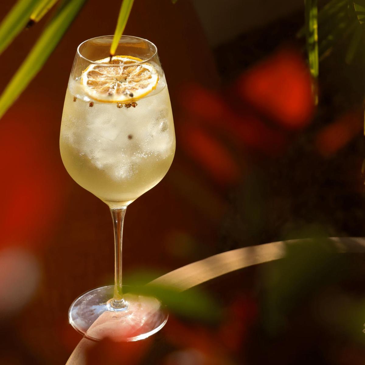 Boissons dans l'établissement Fourvière Hôtel