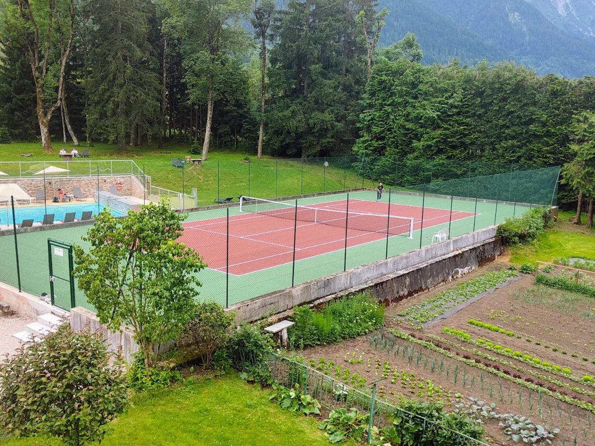 vue aérienne d'un court de tennis dans un parc dans l'établissement Aiguille du Midi - Hôtel & Restaurant, à Chamonix-Mont-Blanc