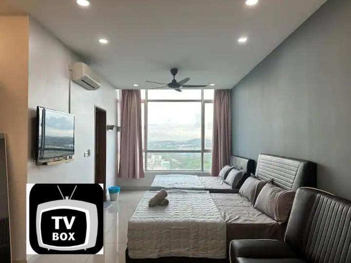 Panoramic View - UTM Paradigm -TVBOX - Hizvo