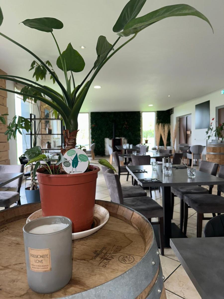 une plante en pot assise sur une table dans un restaurant dans l'établissement Logis Hôtel Volcan Sancy, à Nébouzat