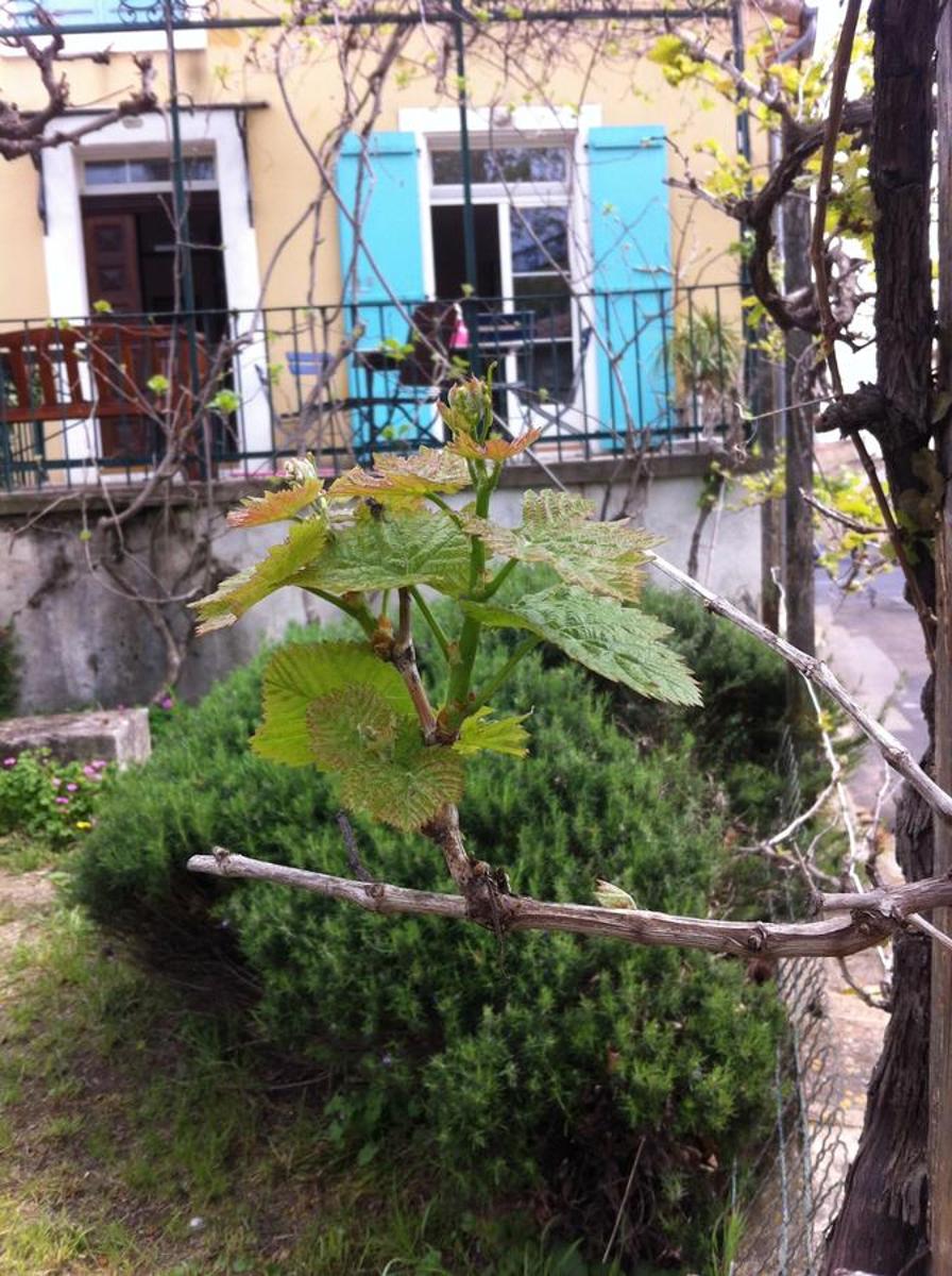 Holiday house in Valros - Housity