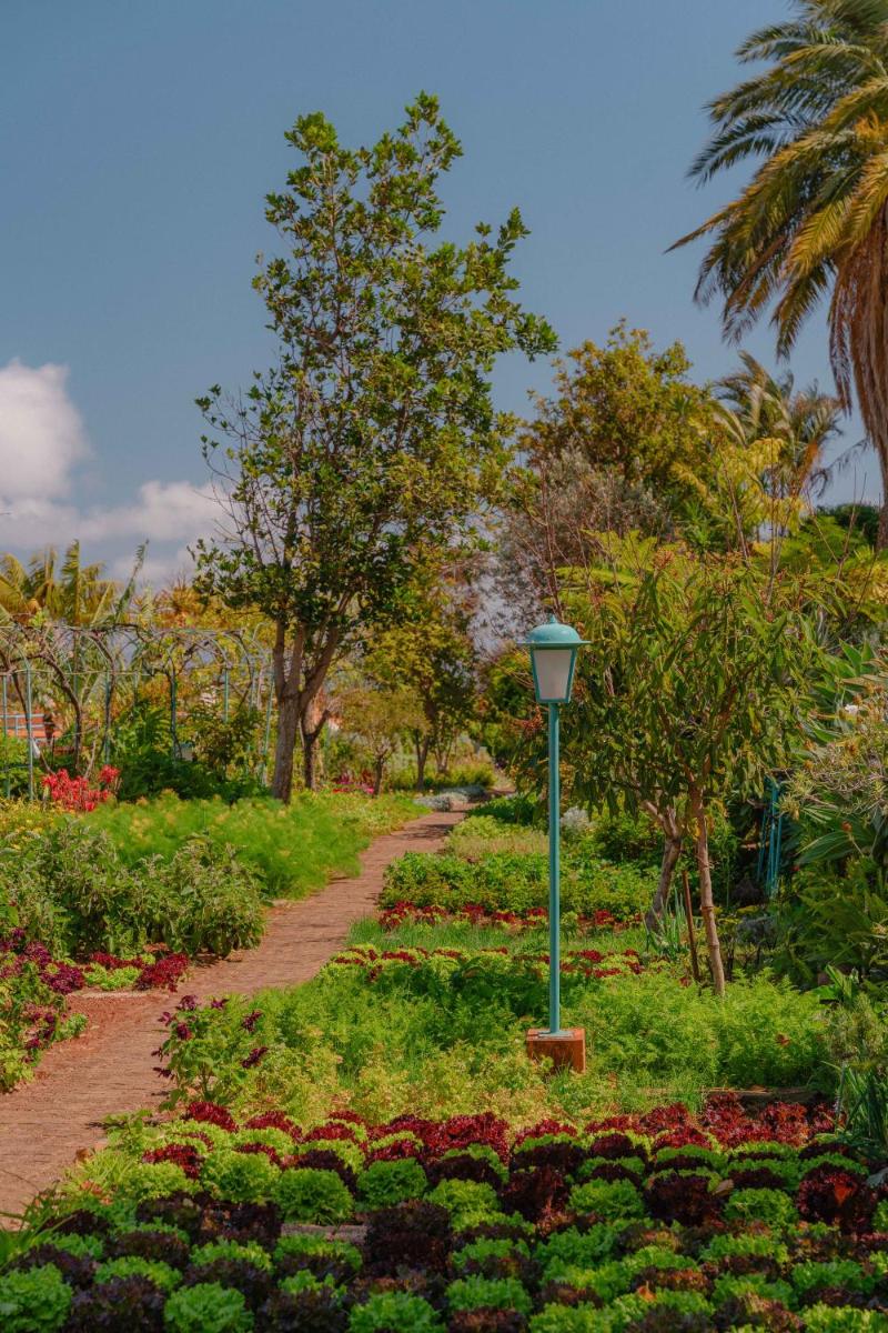Um jardim no exterior de Quinta Splendida Wellness & Botanical Garden