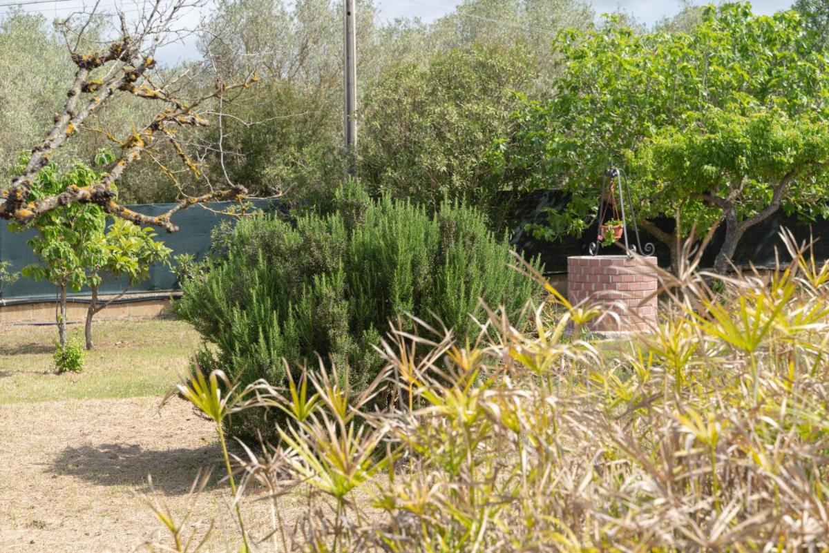 Villa Cantiano - Housity