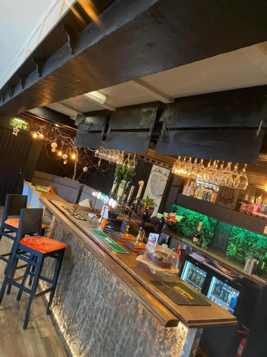 The Bear On The Square - Housity