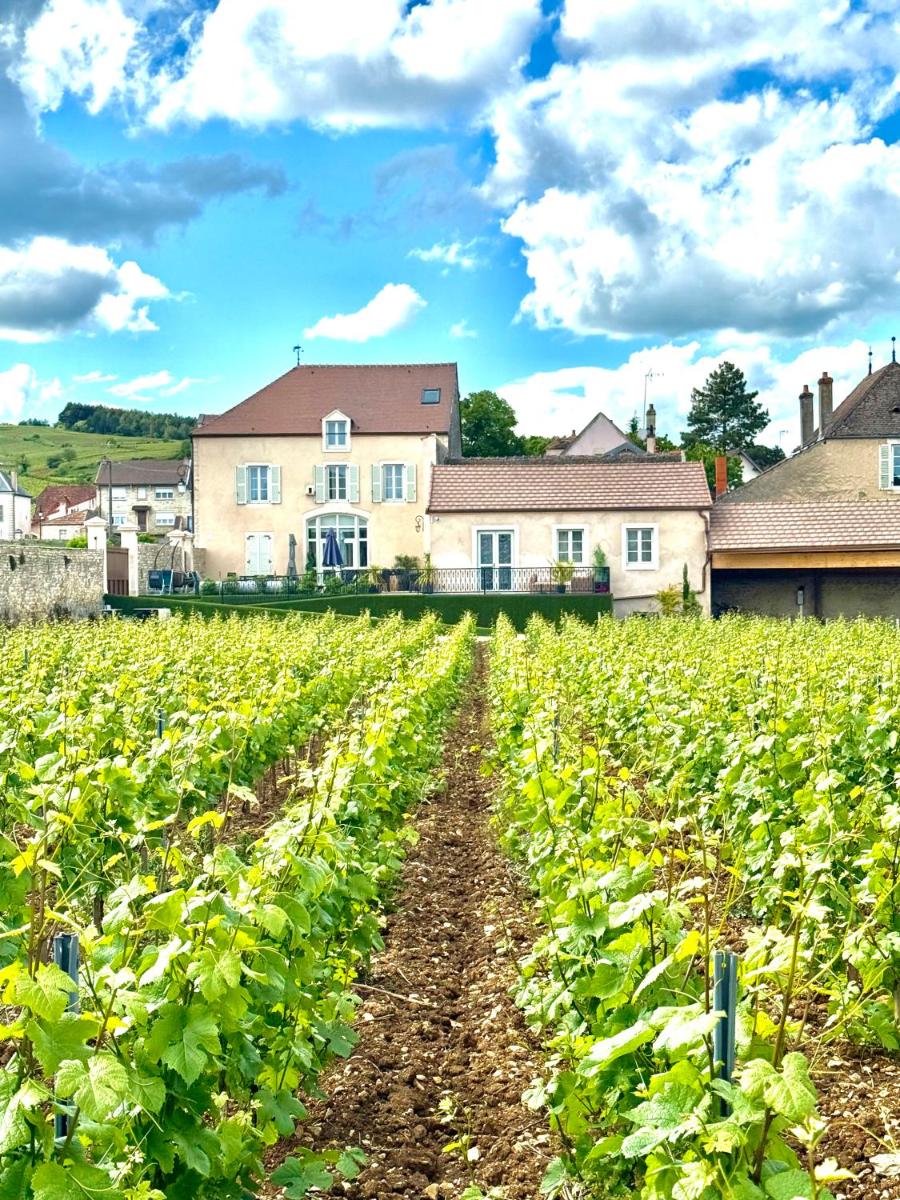 Jardin de l'établissement Les Rêveries du Clos POMMARD Vignes & SPA& Dégustation