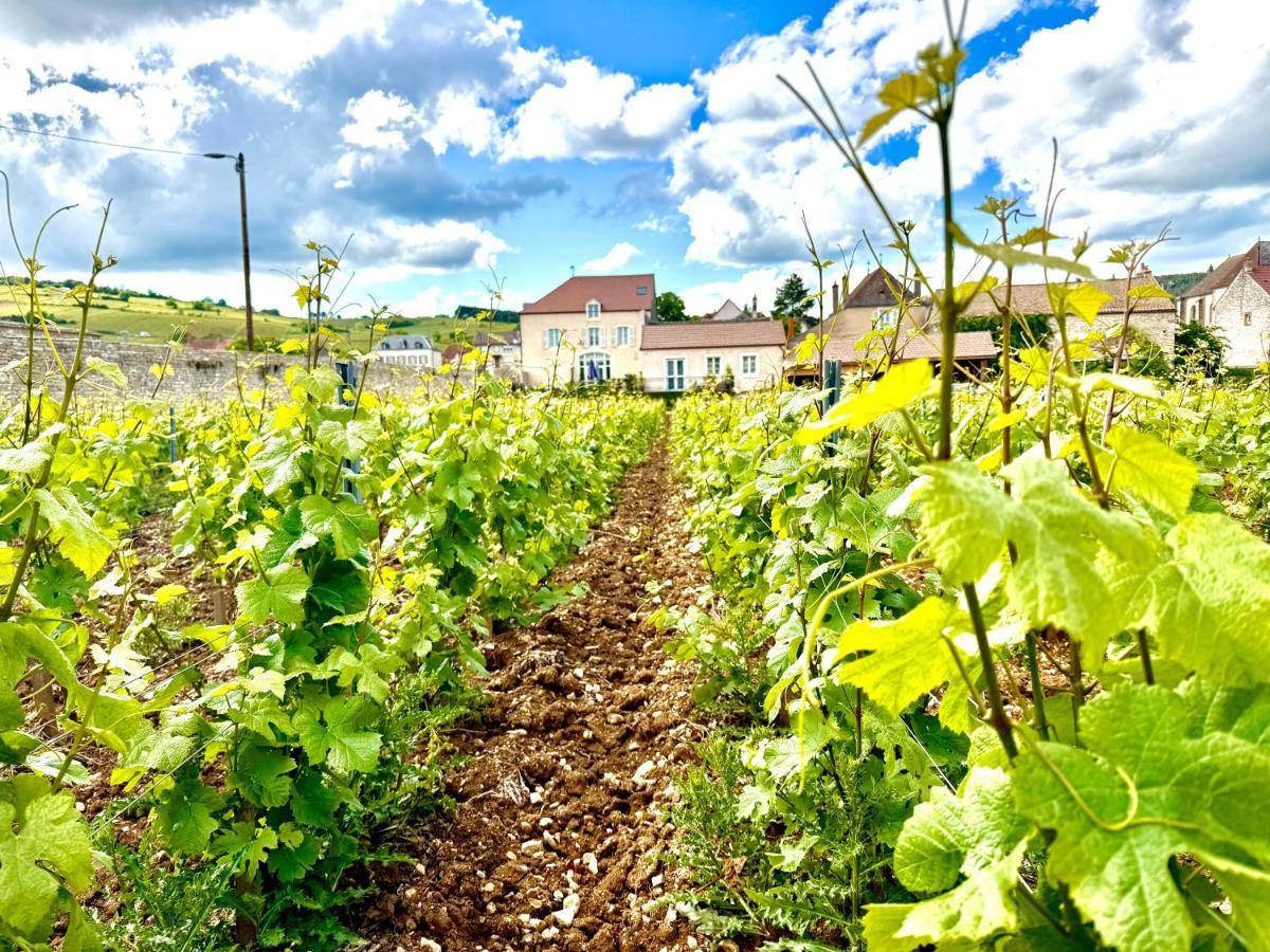 Jardin de l'établissement Les Rêveries du Clos POMMARD Vignes & SPA& Dégustation