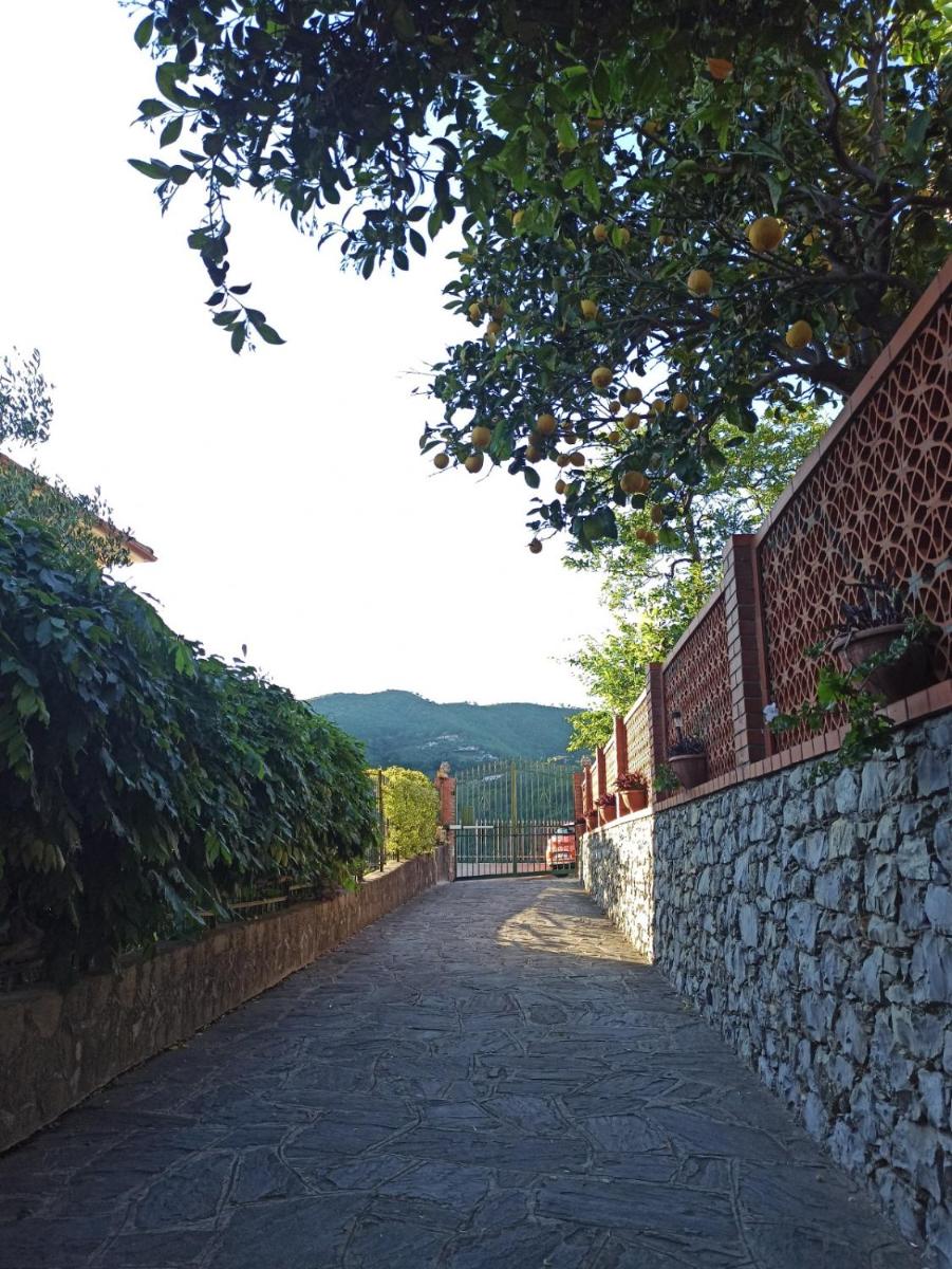 Il Glicine cozy appartamnent, near Sestri Levante between Cinque terre e Portofino - Housity