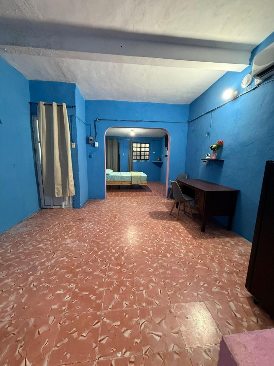 CasaAZULROSA - Housity