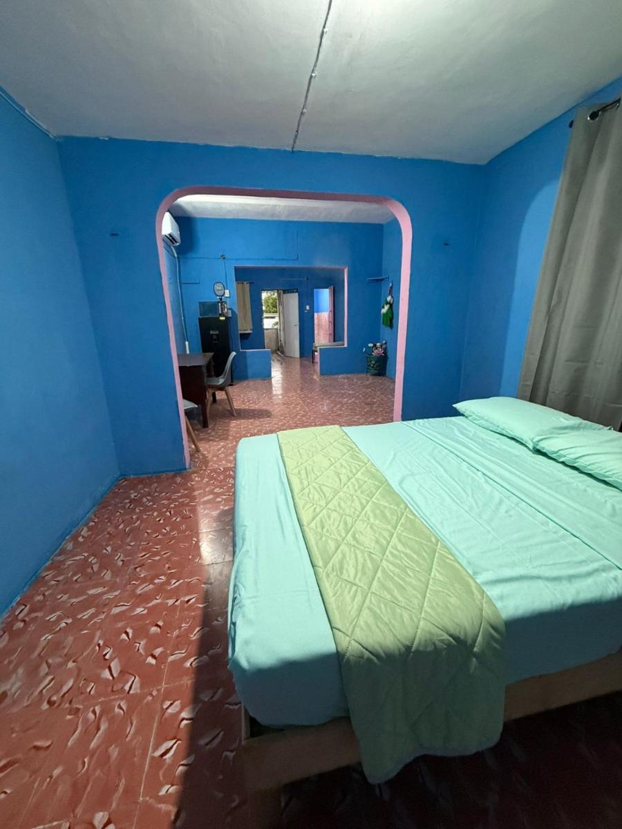 CasaAZULROSA - Housity
